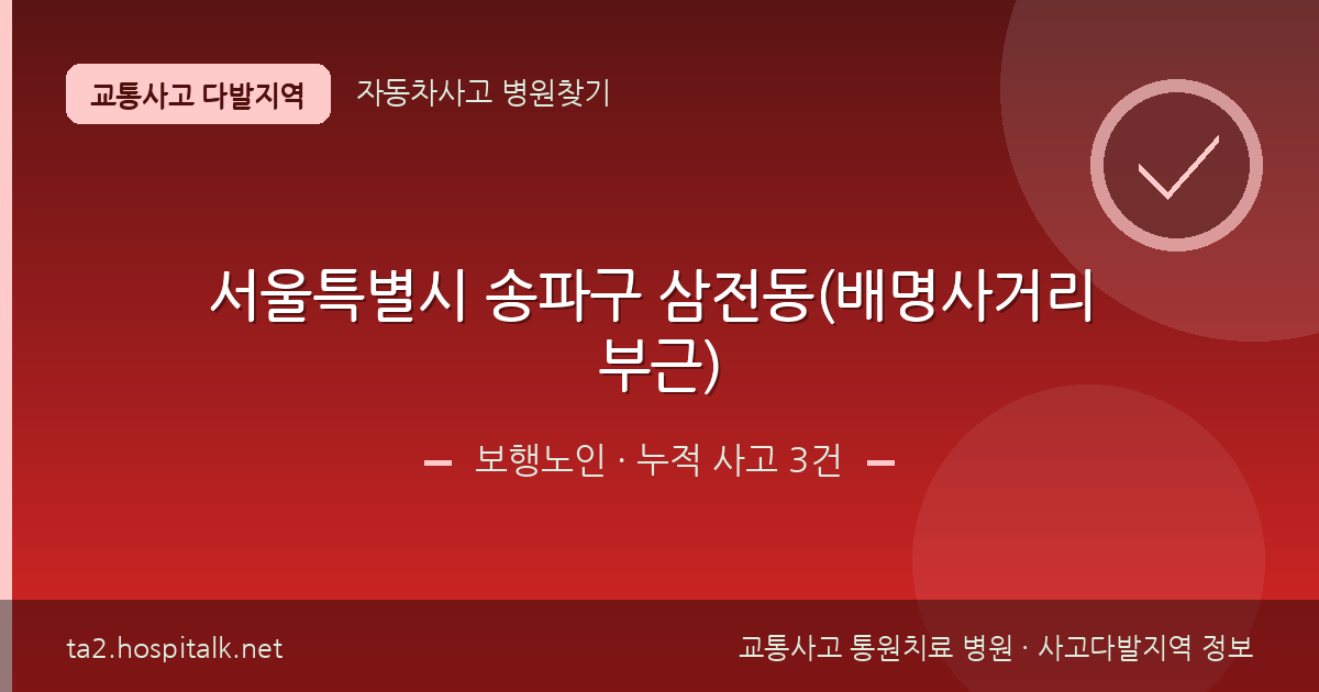 서울특별시 송파구 삼전동(배명사거리 부근) 보행노인 사고다발지역 정보