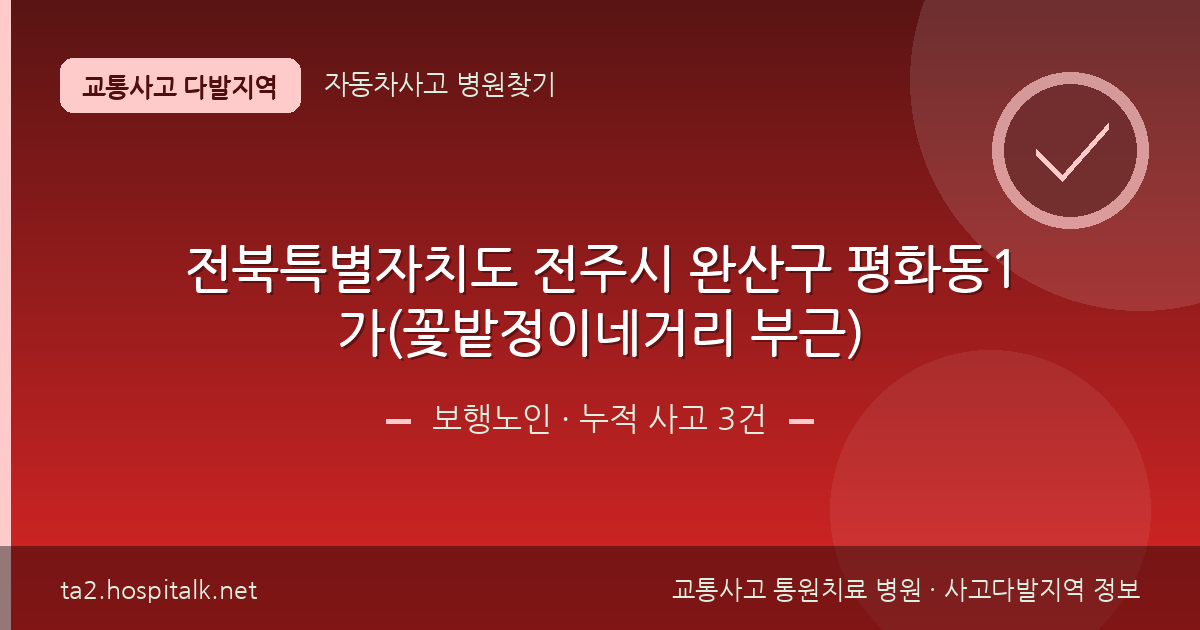 전북특별자치도 전주시 완산구 평화동1가(꽃밭정이네거리 부근) 보행노인 사고다발지역 정보