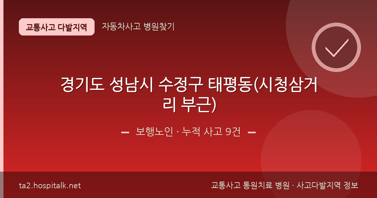 경기도 성남시 수정구 태평동(시청삼거리 부근) 보행노인 사고다발지역 정보