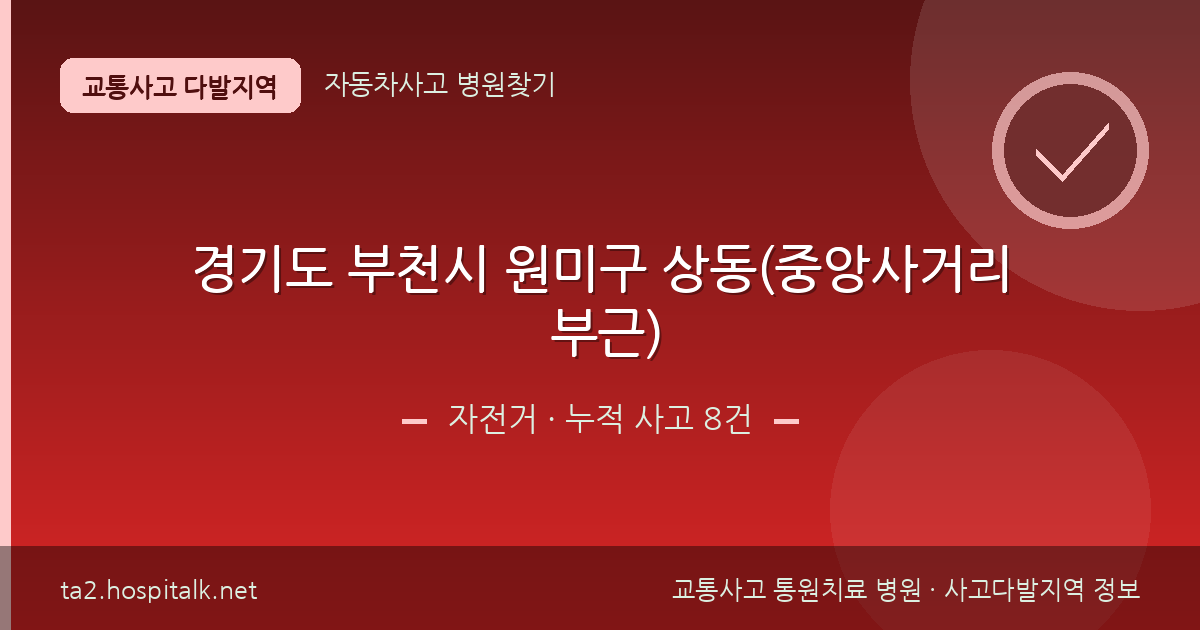 경기도 부천시 원미구 상동(중앙사거리 부근) 자전거 사고다발지역 정보